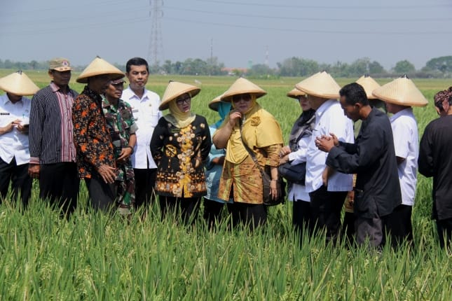 bb37d4eb dfbf 4526 a00f f731bb92a03c